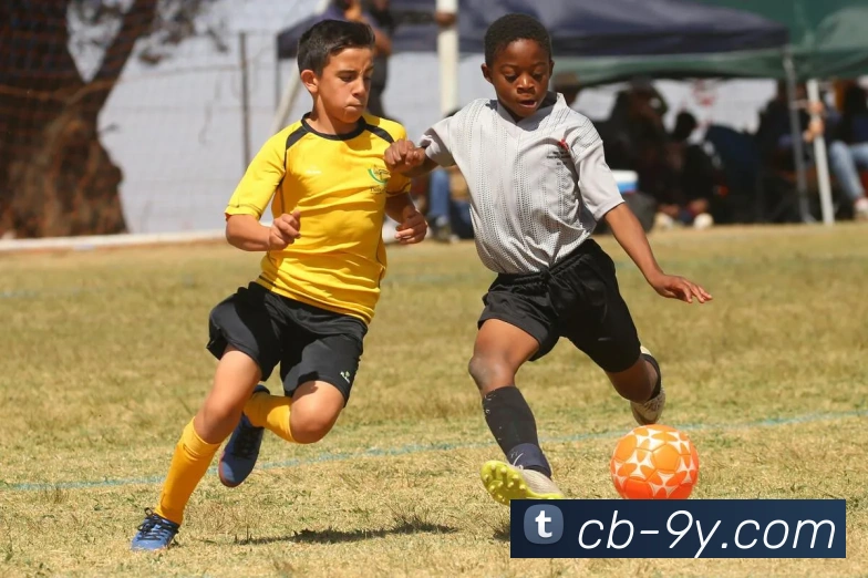 九游官网平台生态图