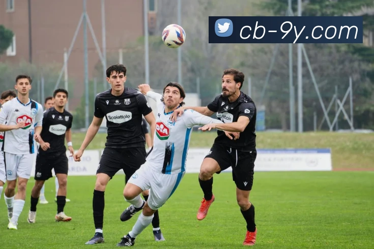 九游官网全站App